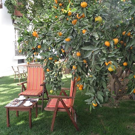 Hôtel Ephesus Paradise à Selçuk Extérieur photo