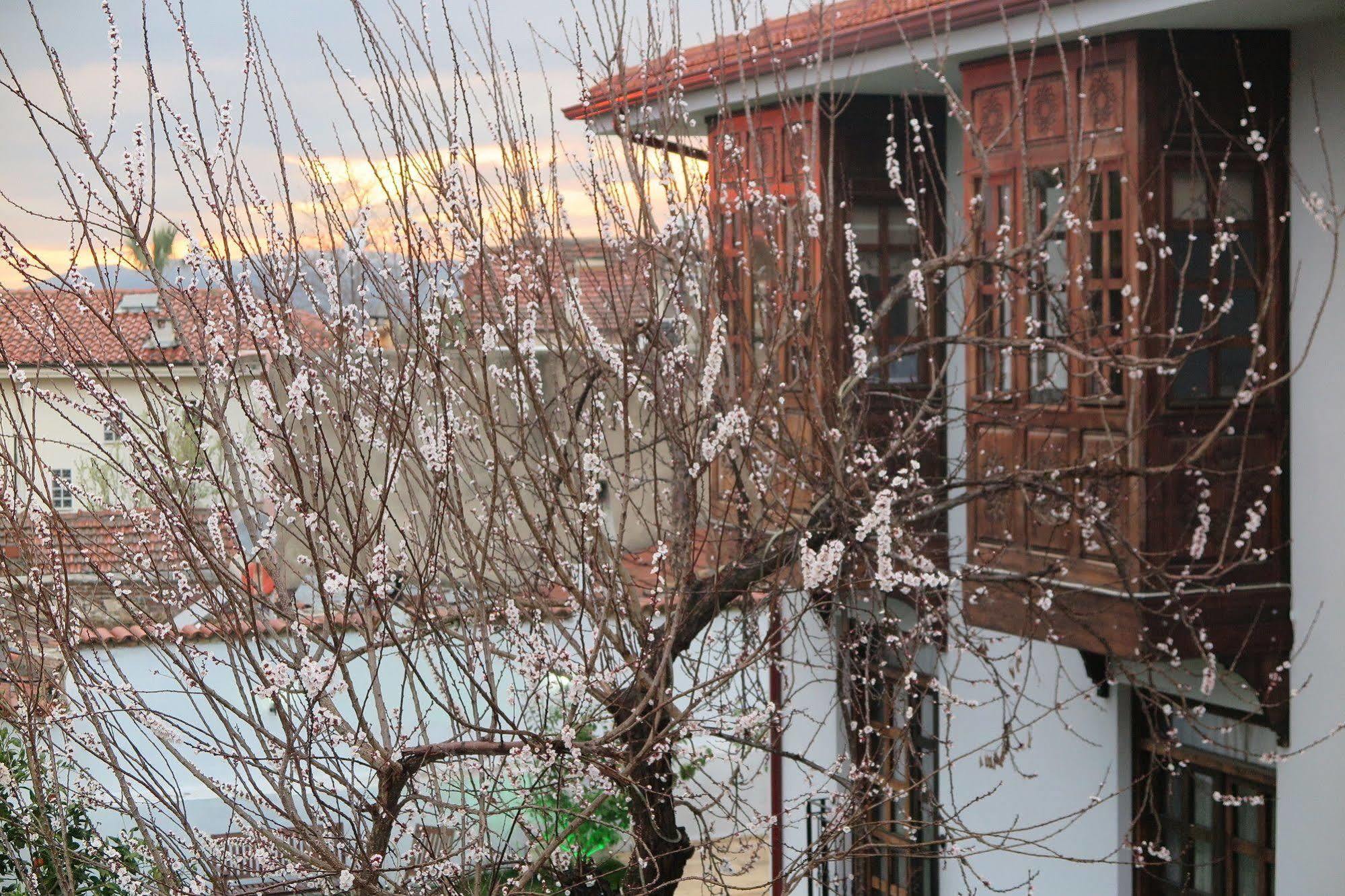 Hôtel Ephesus Paradise à Selçuk Extérieur photo