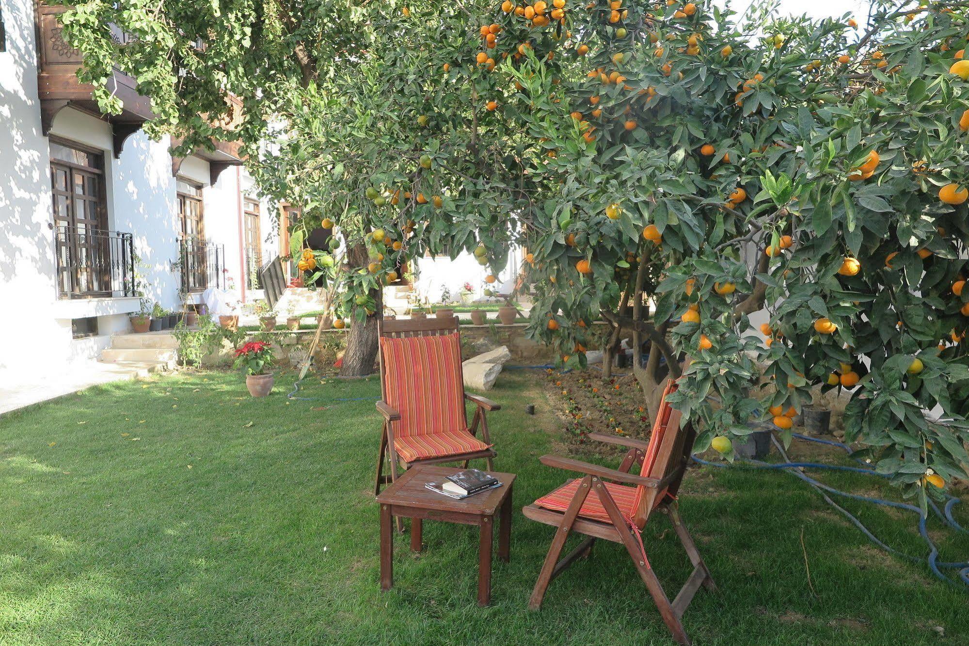 Hôtel Ephesus Paradise à Selçuk Extérieur photo